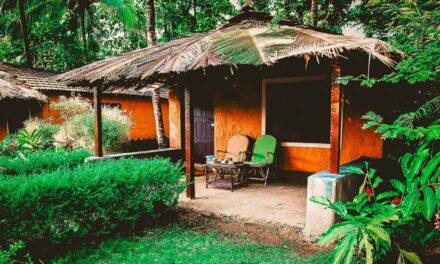 Nature’s Nest Nature Resort- Experience nature up-close